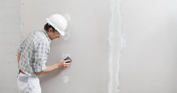 Best Water Damage & Mold Remediation  in Mililani Mauka, HI