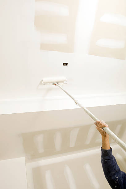 Best Industrial Mold Remediation  in Mililani Mauka, HI