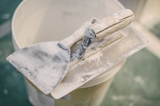 Best Asbestos and Lead Testing During Mold Inspection  in Mililani Mauka, HI